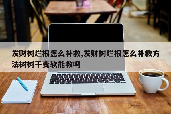 发财树烂根怎么补救,发财树烂根怎么补救方法树树干变软能救吗