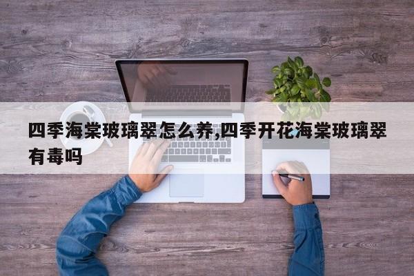 四季海棠玻璃翠怎么养,四季开花海棠玻璃翠有毒吗
