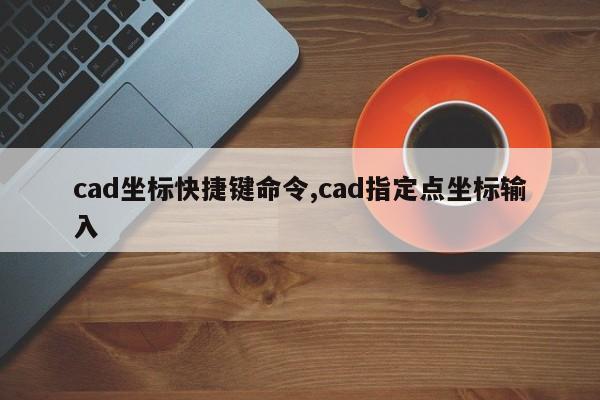 cad坐标快捷键命令,cad指定点坐标输入