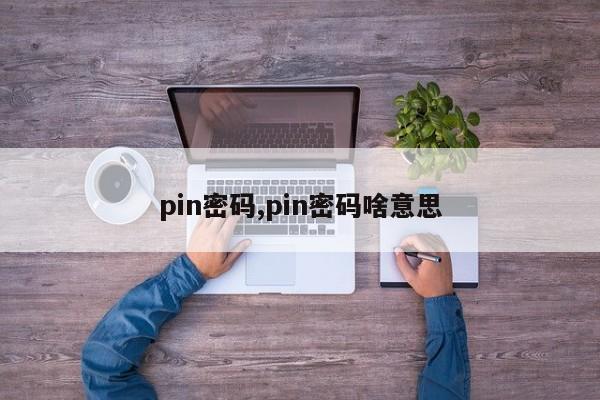 pin密码,pin密码啥意思