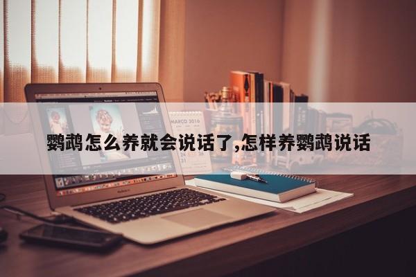 鹦鹉怎么养就会说话了,怎样养鹦鹉说话