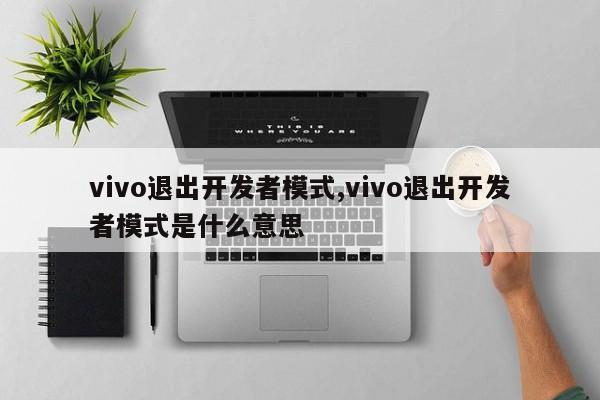 vivo退出开发者模式,vivo退出开发者模式是什么意思