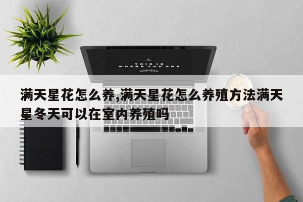 满天星花怎么养,满天星花怎么养殖方法满天星冬天可以在室内养殖吗