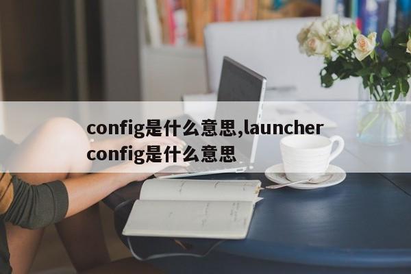 config是什么意思,launcherconfig是什么意思