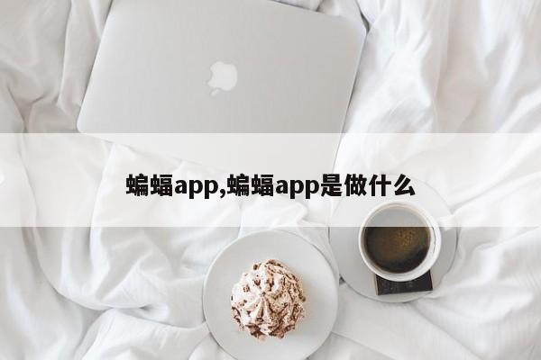 蝙蝠app,蝙蝠app是做什么