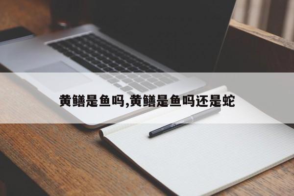黄鳝是鱼吗,黄鳝是鱼吗还是蛇