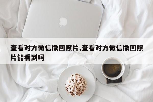 查看对方微信撤回照片,查看对方微信撤回照片能看到吗
