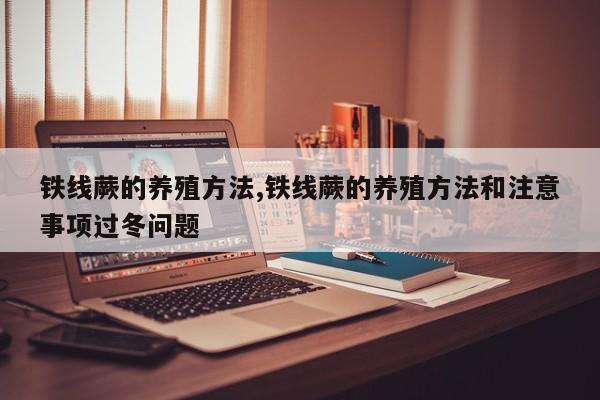 铁线蕨的养殖方法,铁线蕨的养殖方法和注意事项过冬问题