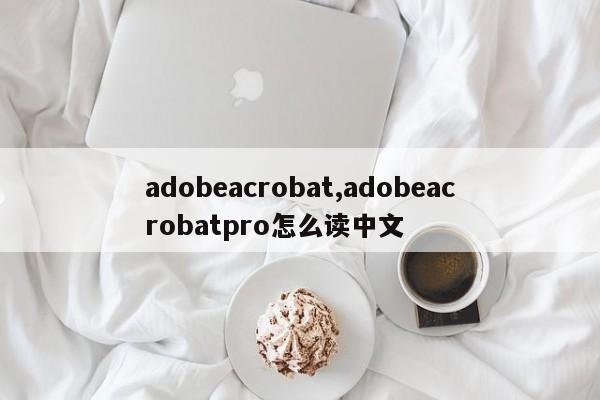 adobeacrobat,adobeacrobatpro怎么读中文