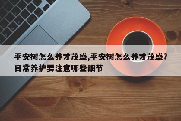 平安树怎么养才茂盛,平安树怎么养才茂盛?日常养护要注意哪些细节