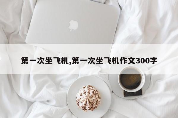 第一次坐飞机,第一次坐飞机作文300字