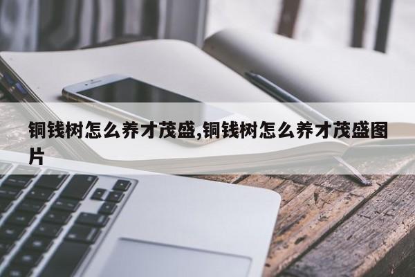 铜钱树怎么养才茂盛,铜钱树怎么养才茂盛图片