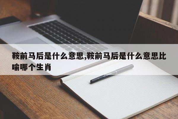 鞍前马后是什么意思,鞍前马后是什么意思比喻哪个生肖