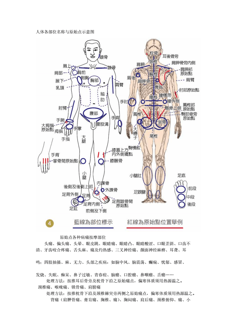 身体分布图和名称,身体分布图和名称图