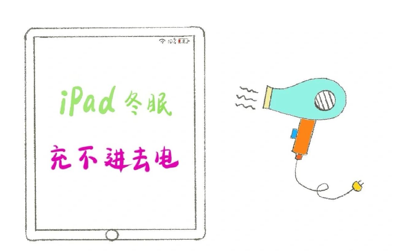 ipad为什么充不进电,ipad为什么充不进电怎么办