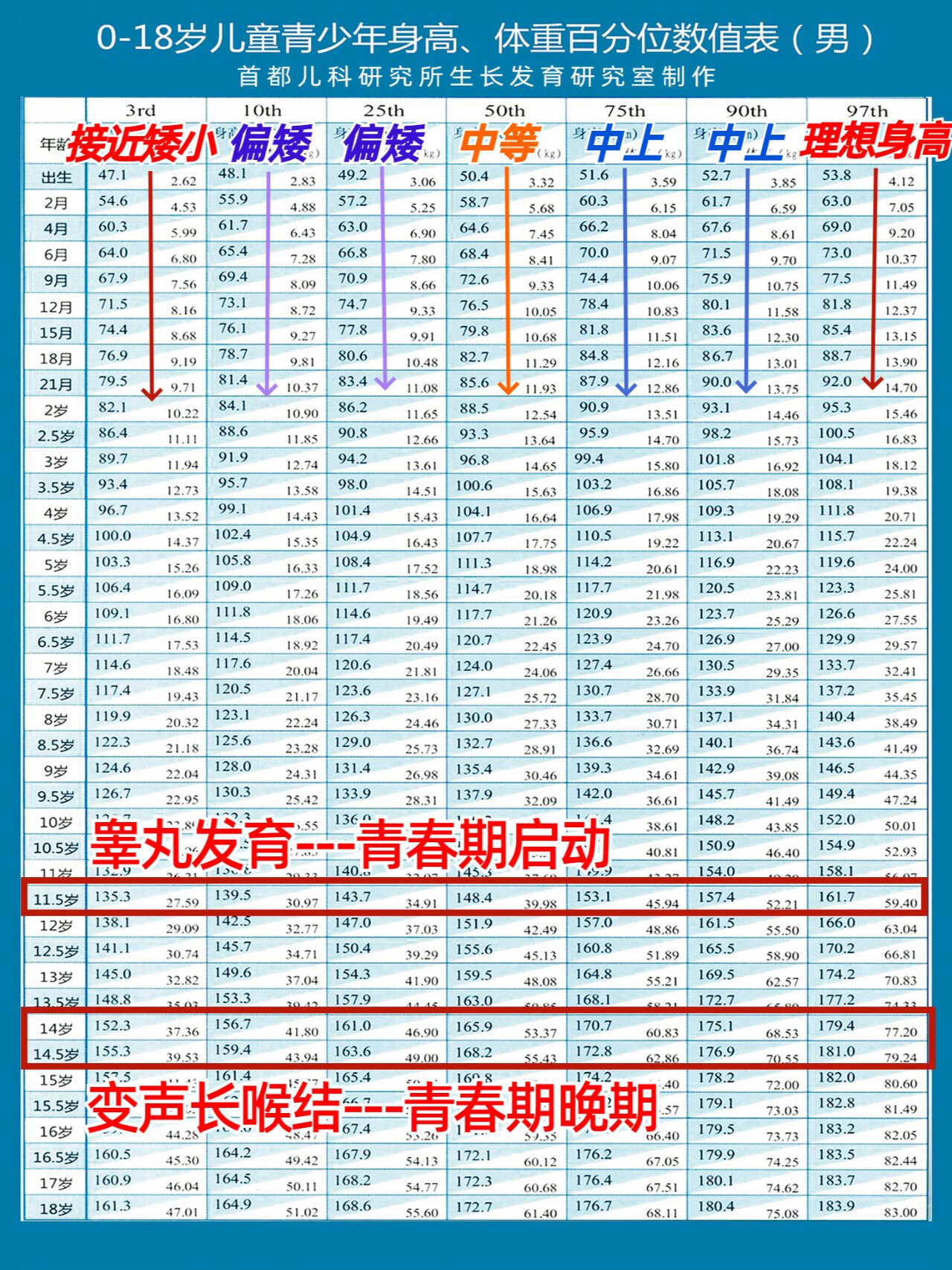 青年是几岁到几岁,青年是几岁到几岁的范围