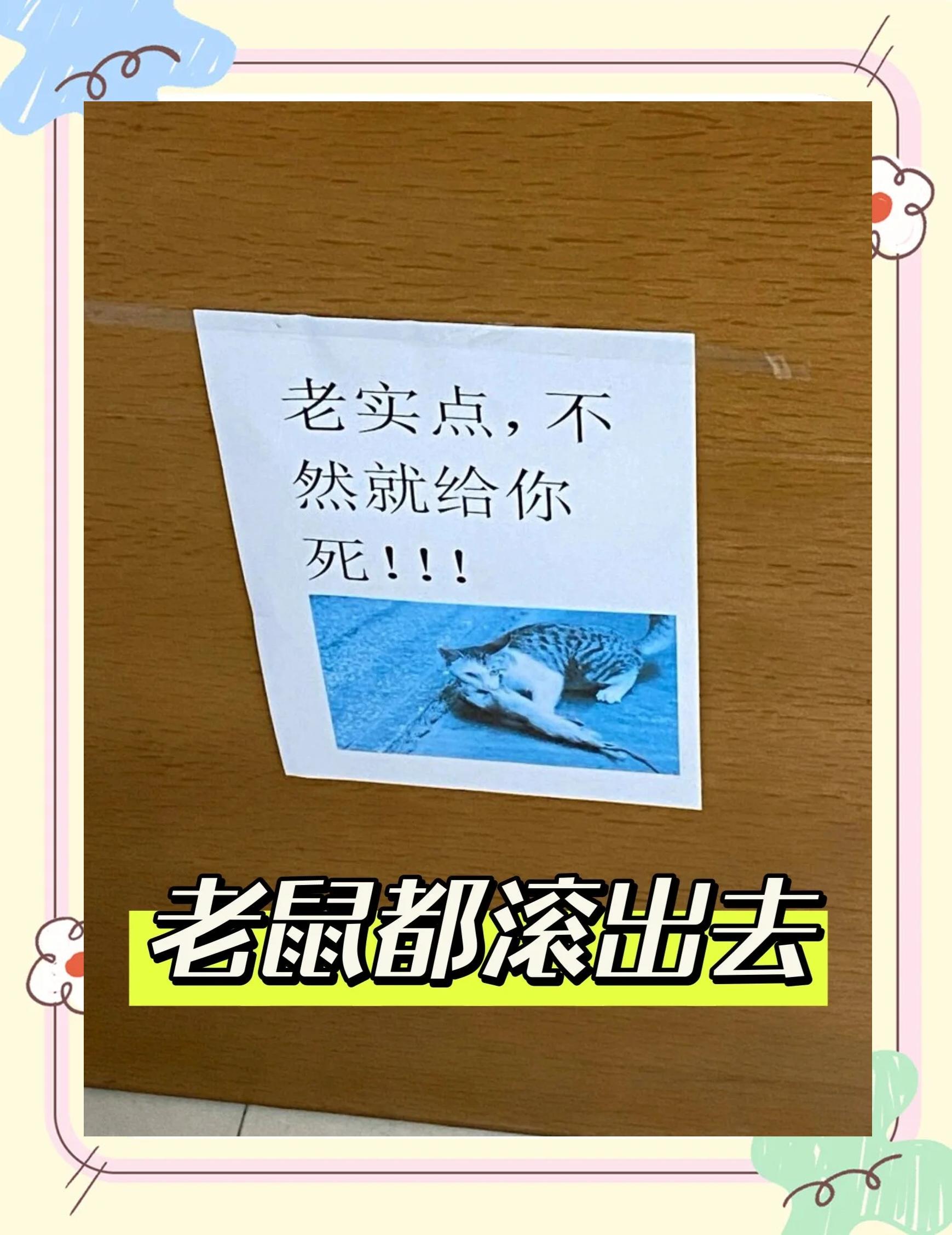 驱除老鼠,驱老鼠的神器