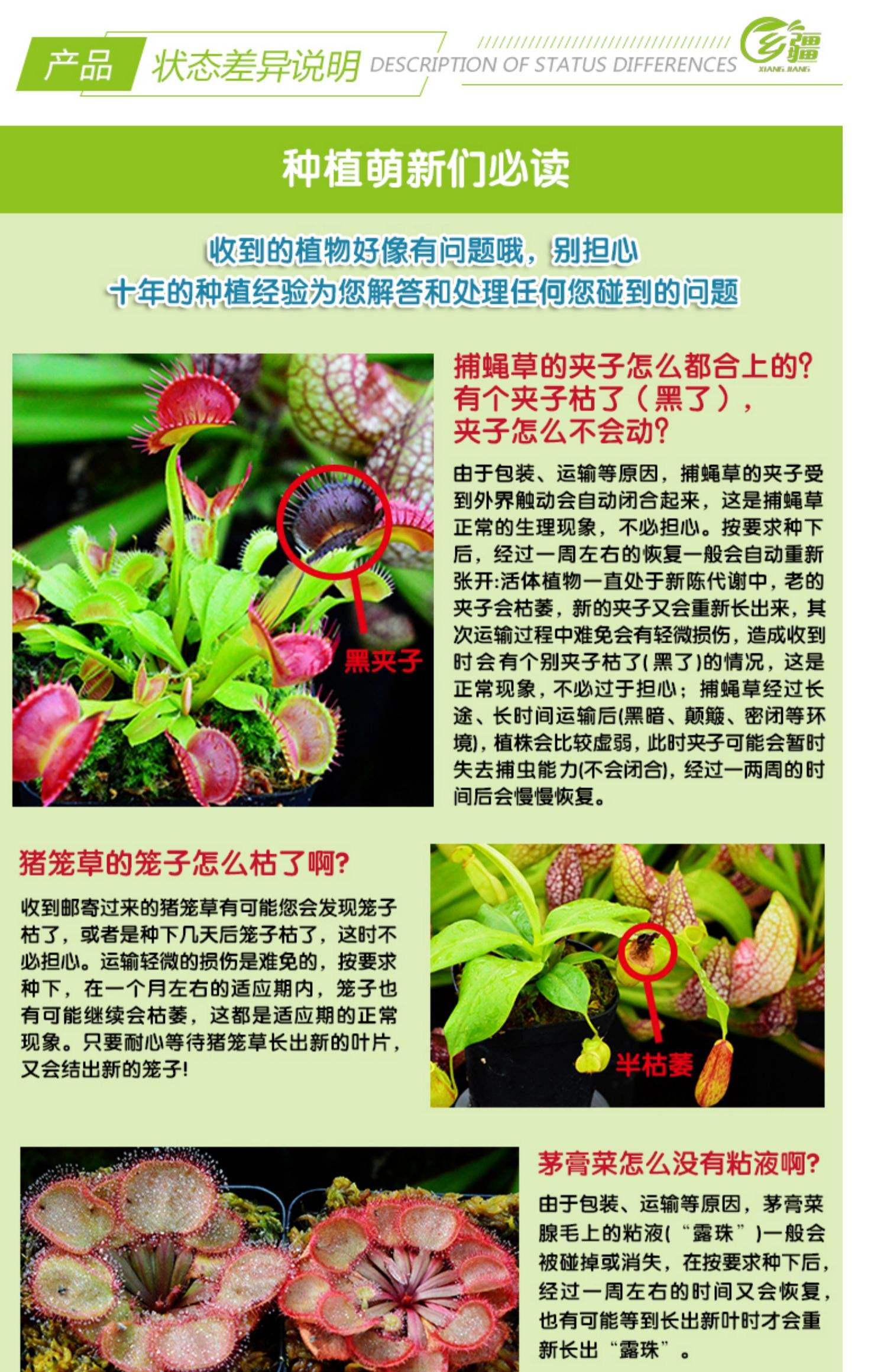 捕蝇草对人危害,捕蝇草对人危害有哪些