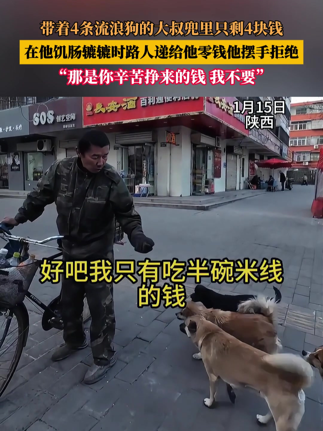 男子喂流浪狗赔钱,男子喂流浪狗被咬死