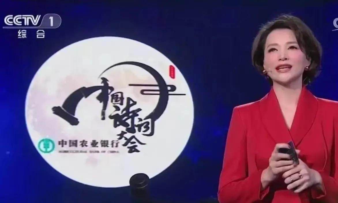 中国诗词大会外卖小哥,中国诗词大会外卖小哥素材