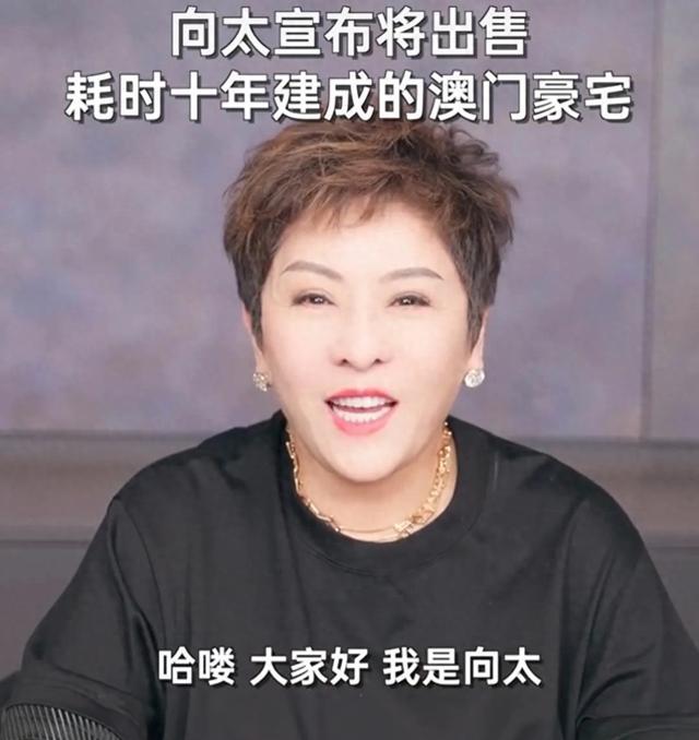 向太是什么人物,向太是什么人物图片
