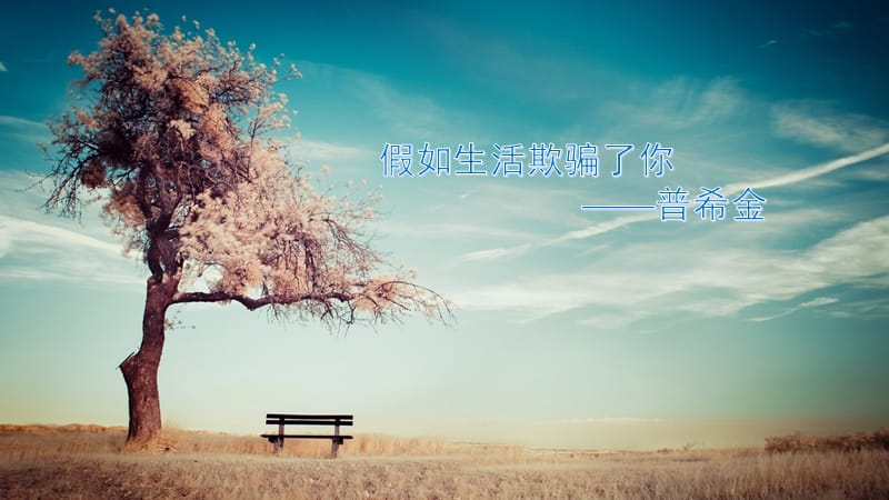 假如生活欺骗了你图片,假如生活欺骗了你图片