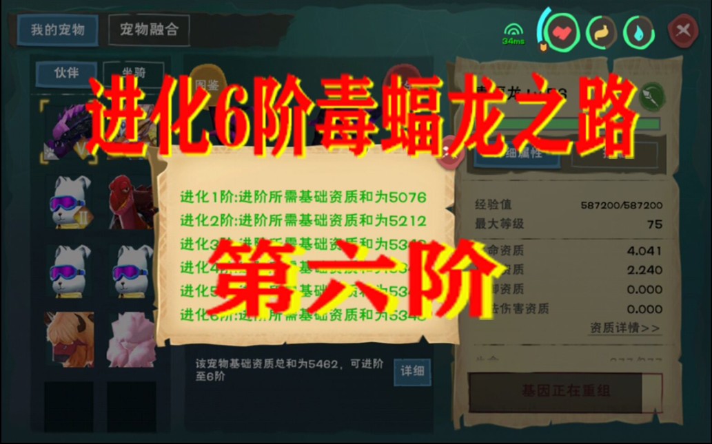 创造与魔法蝠龙,创造与魔法蝠龙进化表