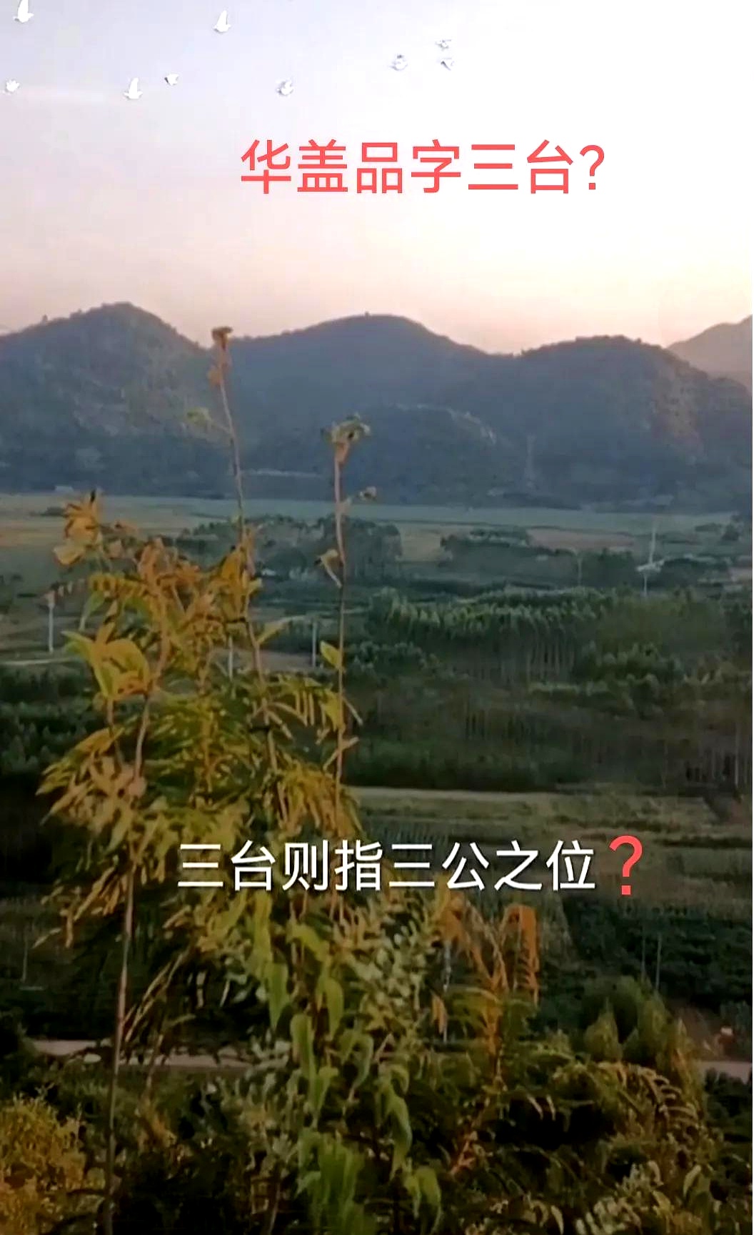 华盖运是什么意思,运交华盖欲何求什么意思