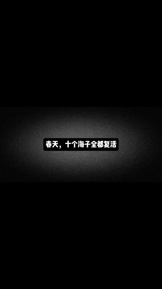 海子是什么意思,为什么湖泊叫海子