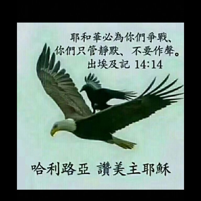 耶和华是我的力量,耶和华是我的力量原唱