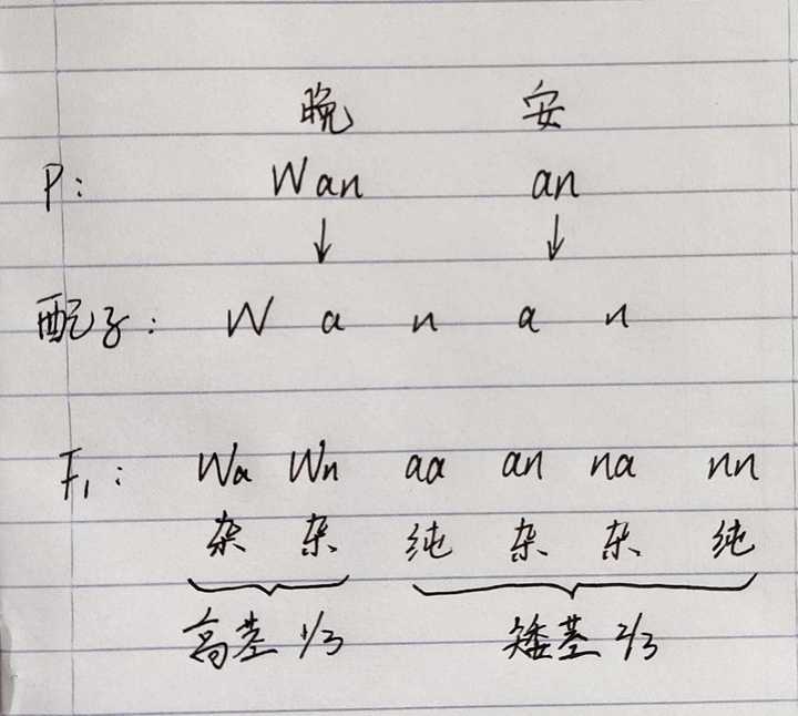 晚安代表什么意思,晚安代表什么意思?