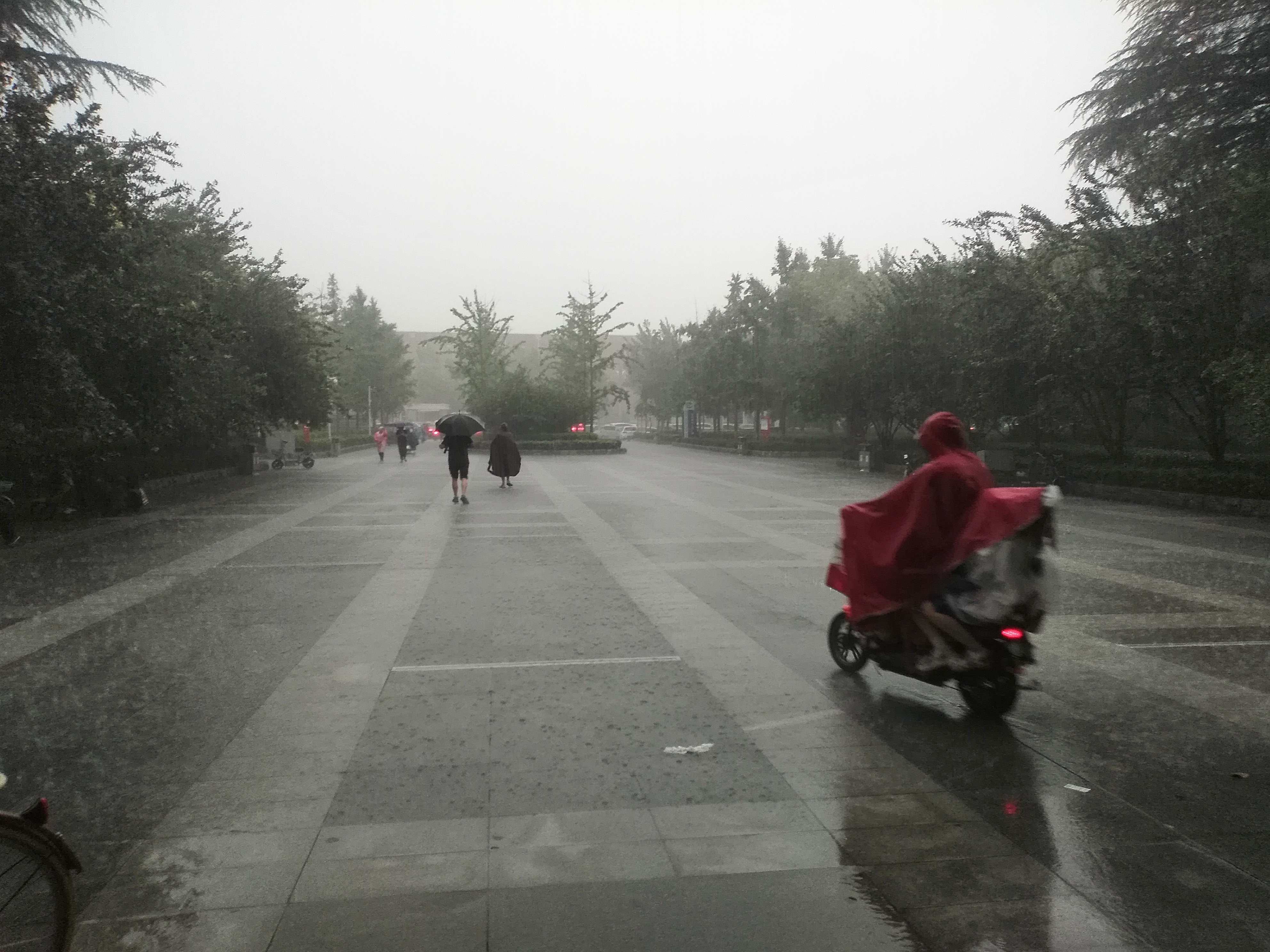 山东暴雨,山东暴雨最新消息24小时天气预报