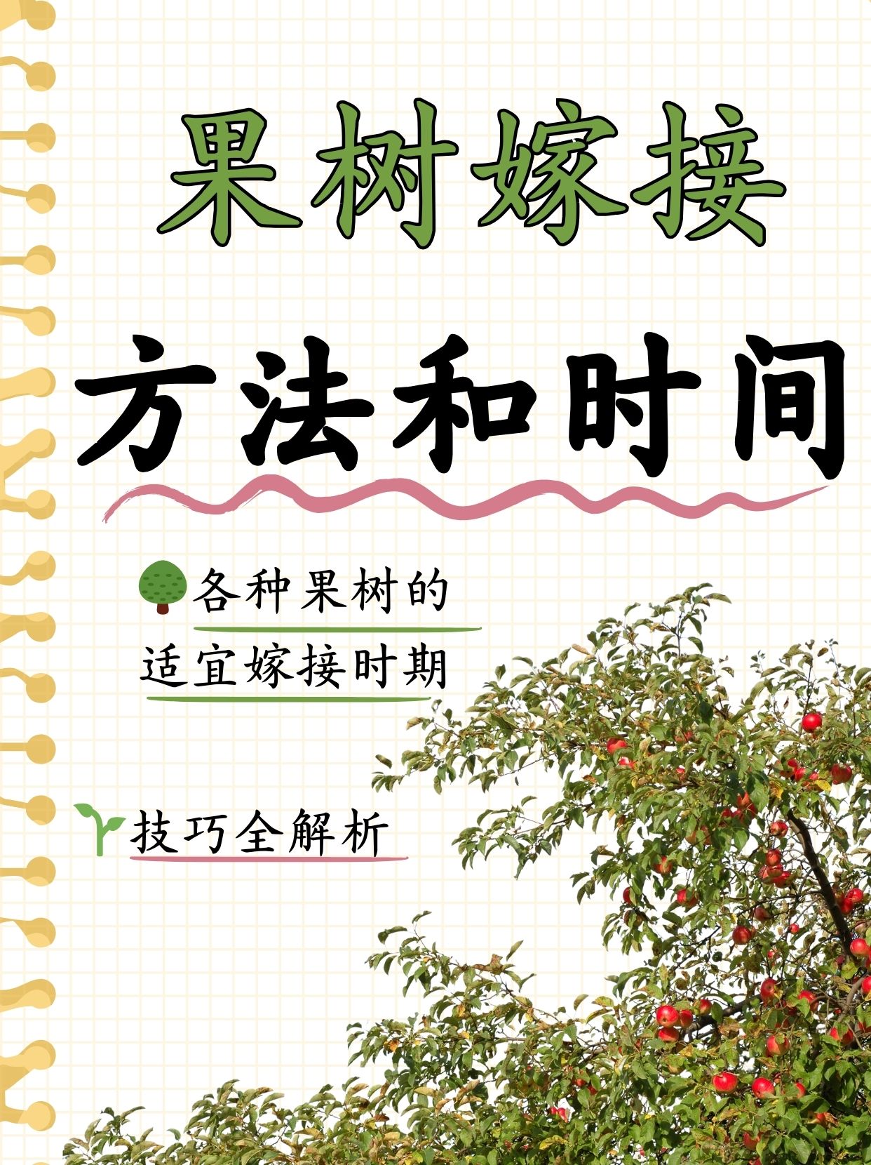 果树嫁接技术图解,果树嫁接技术图解书籍