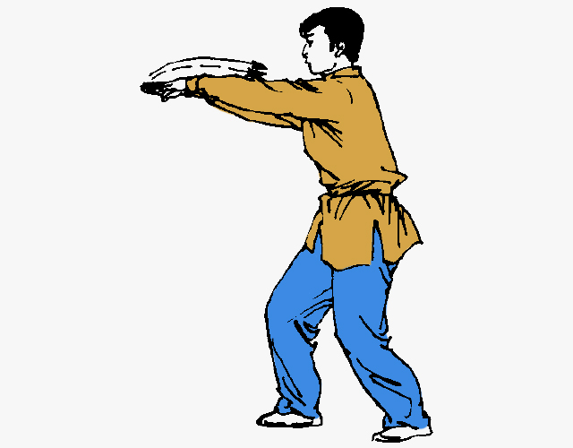 咏春拳基本功动作图,咏春拳基本功动作图解