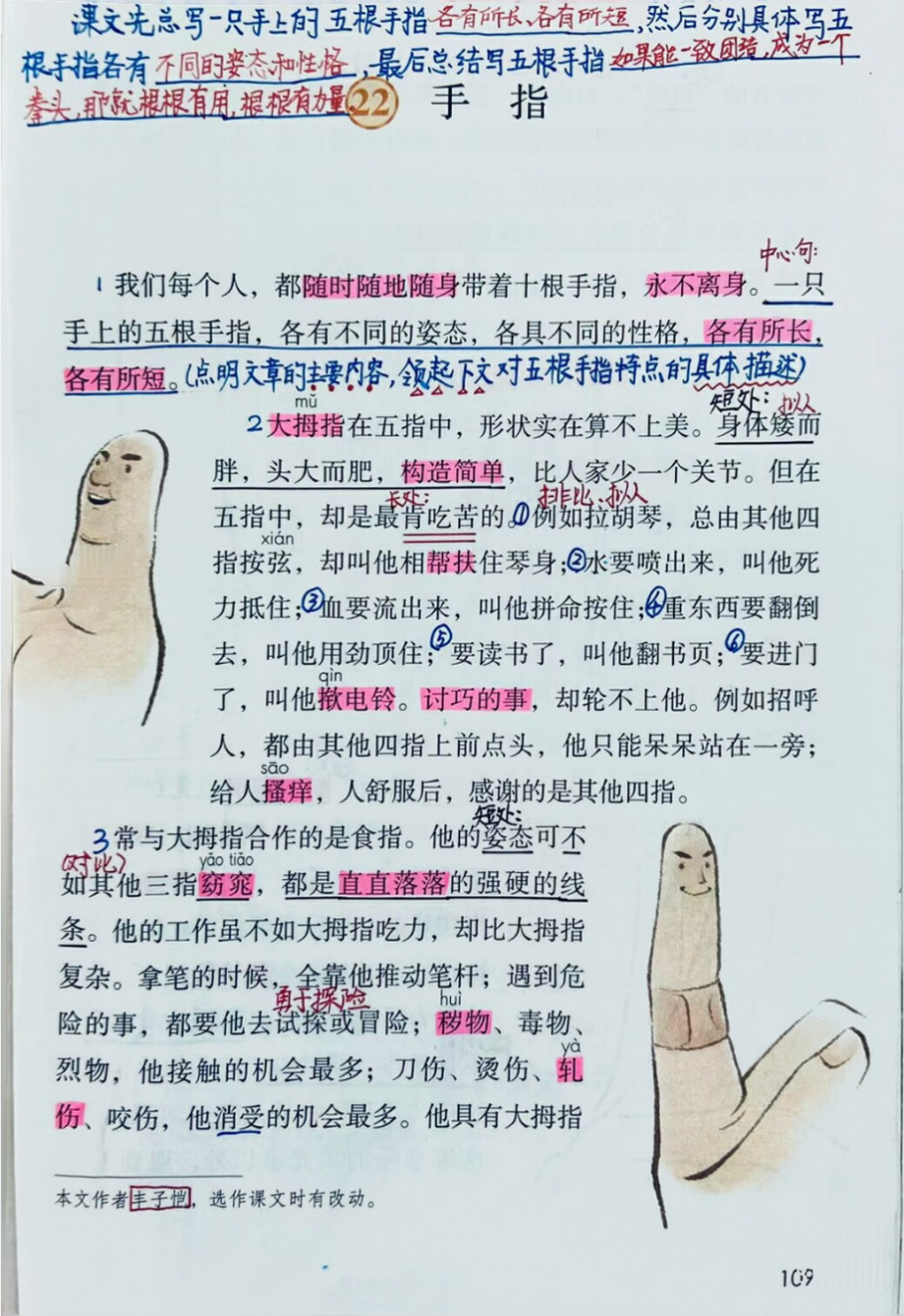 五个手指的名称,五个手指的名称各是什么