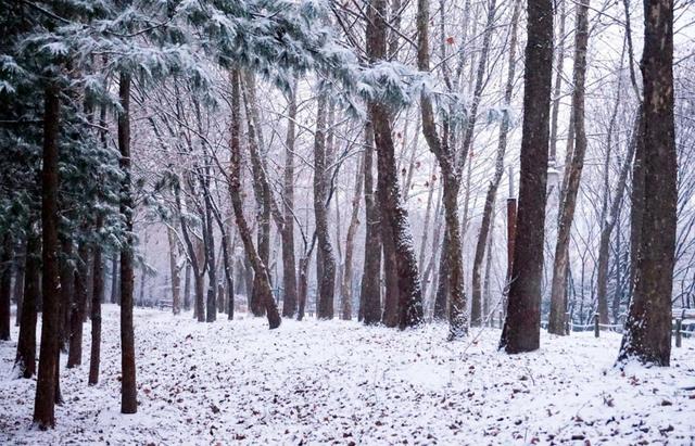 雪白的什么,写词语雪白雪白的什么