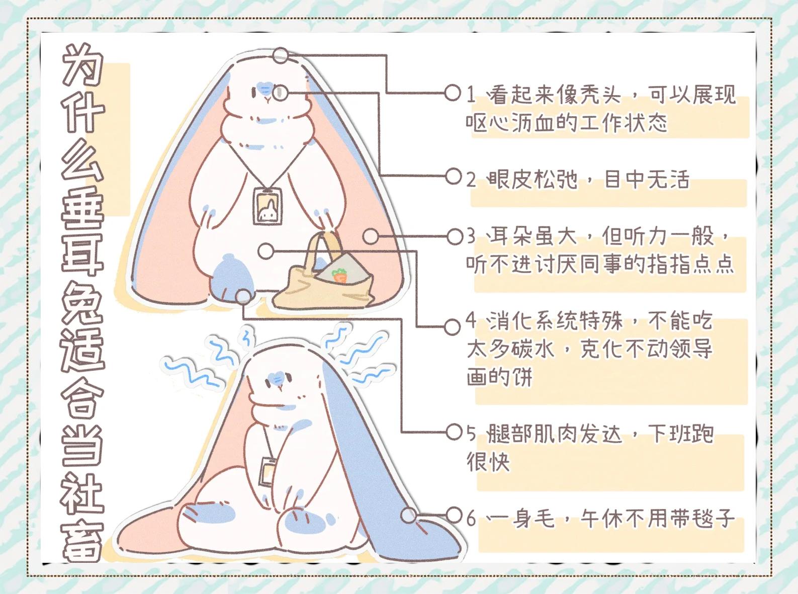 垂耳兔怎么养,垂耳兔怎么养熟
