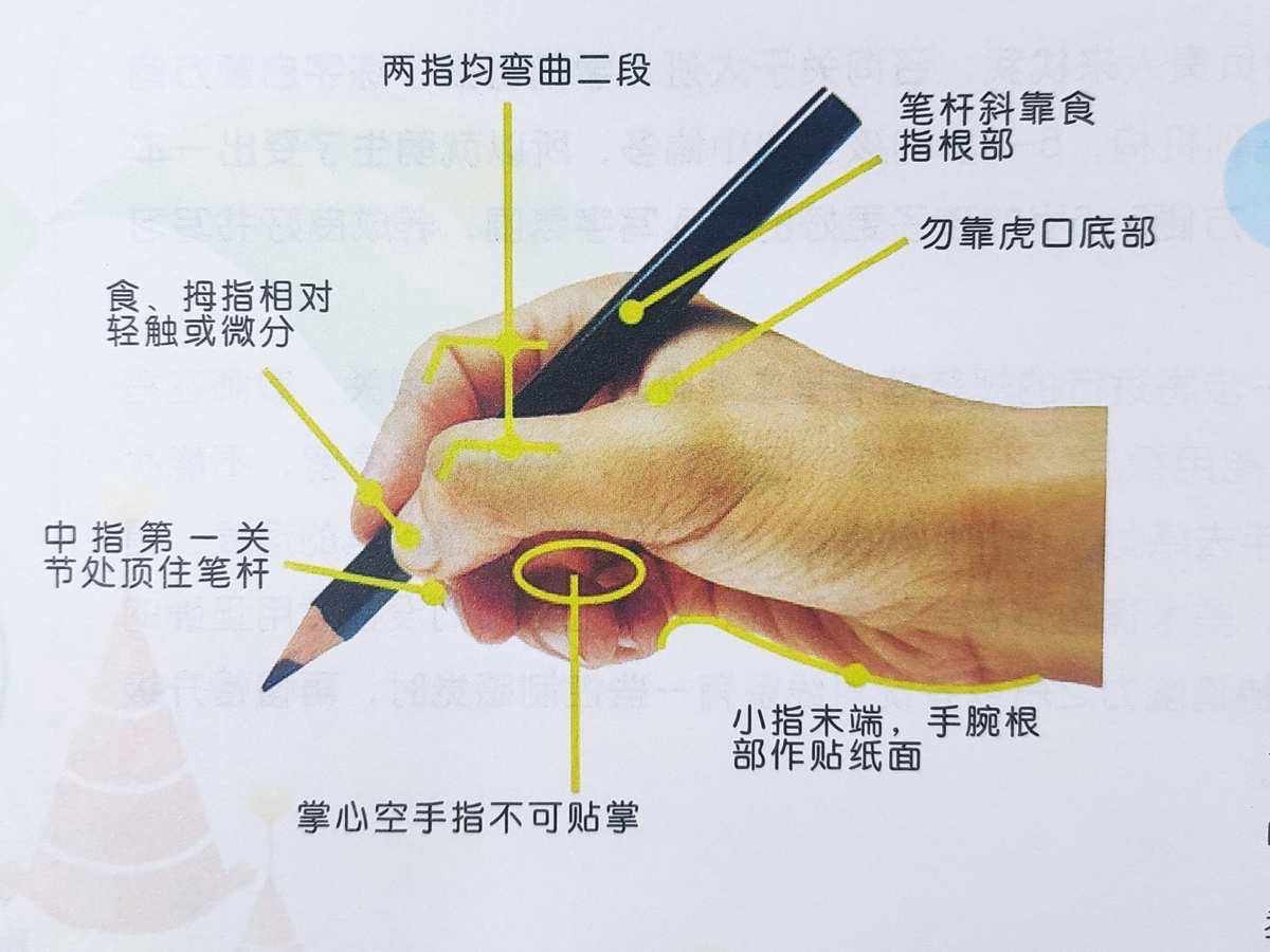正确握笔姿势图片示范,2020年正确的握笔方法