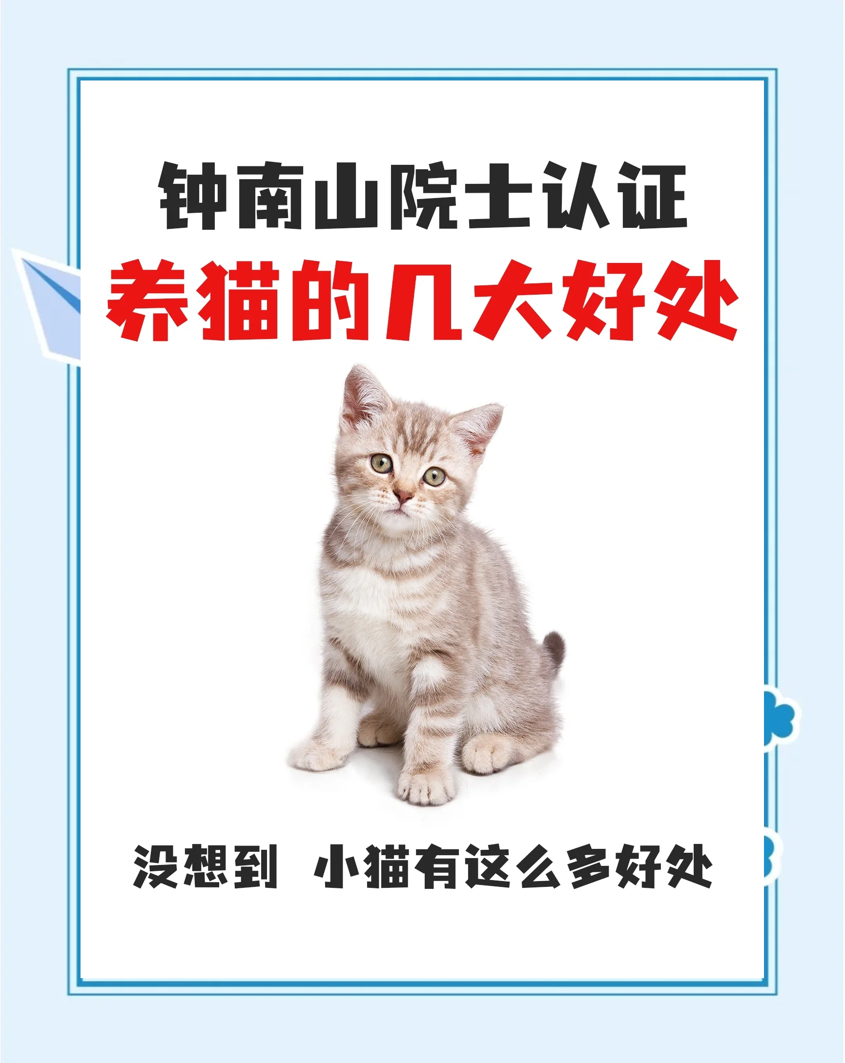 养猫好吗,养猫好吗家里会带来财运吗