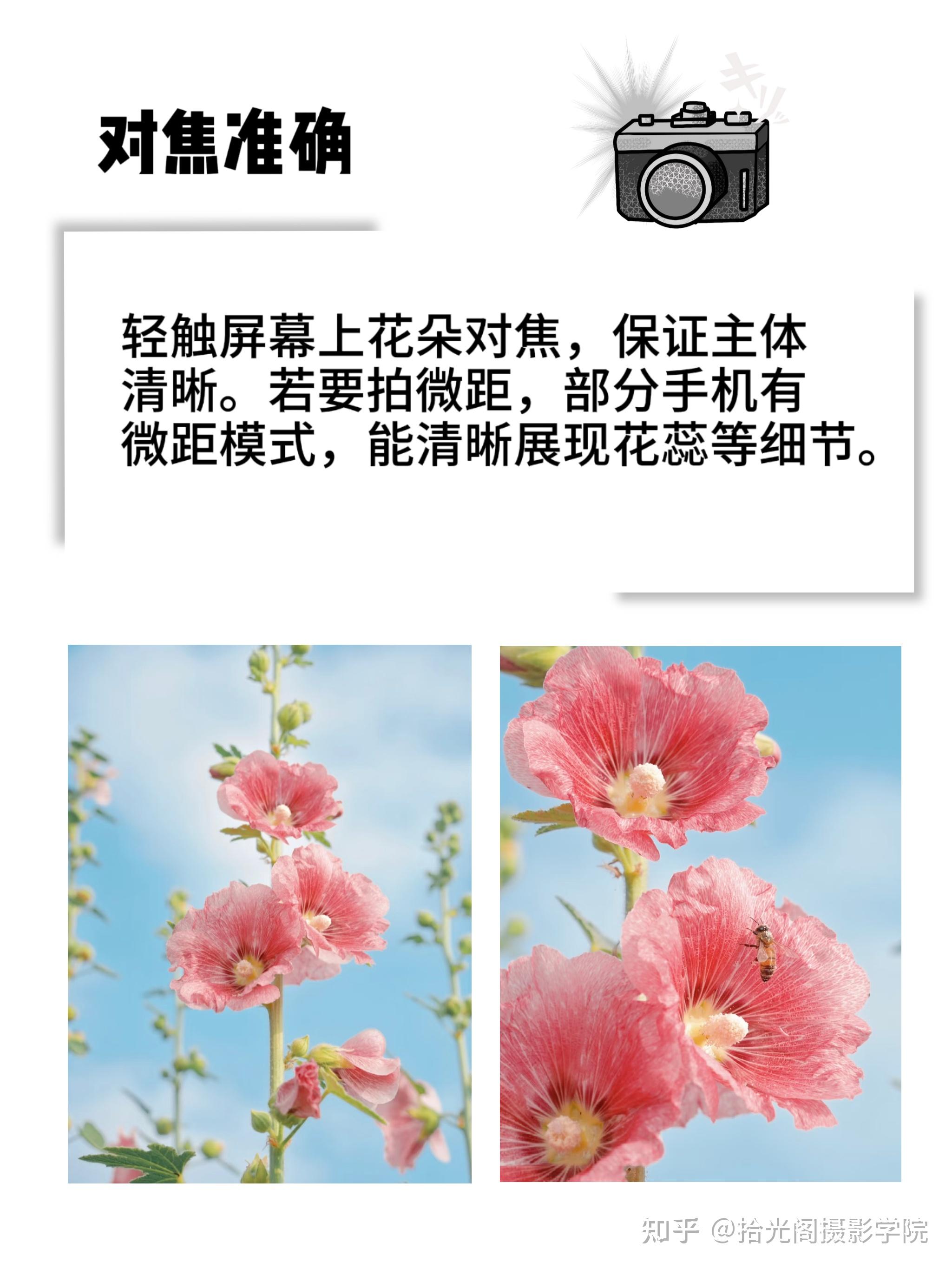 手机拍照技巧大全,手机拍照技巧大全最新