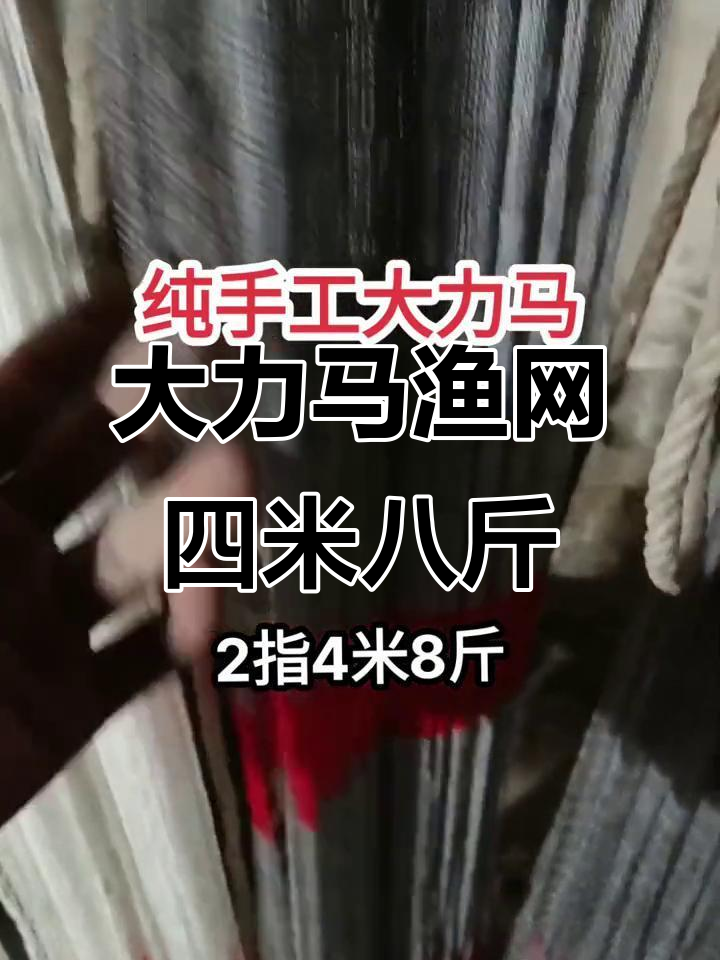 八斤,八斤有多重