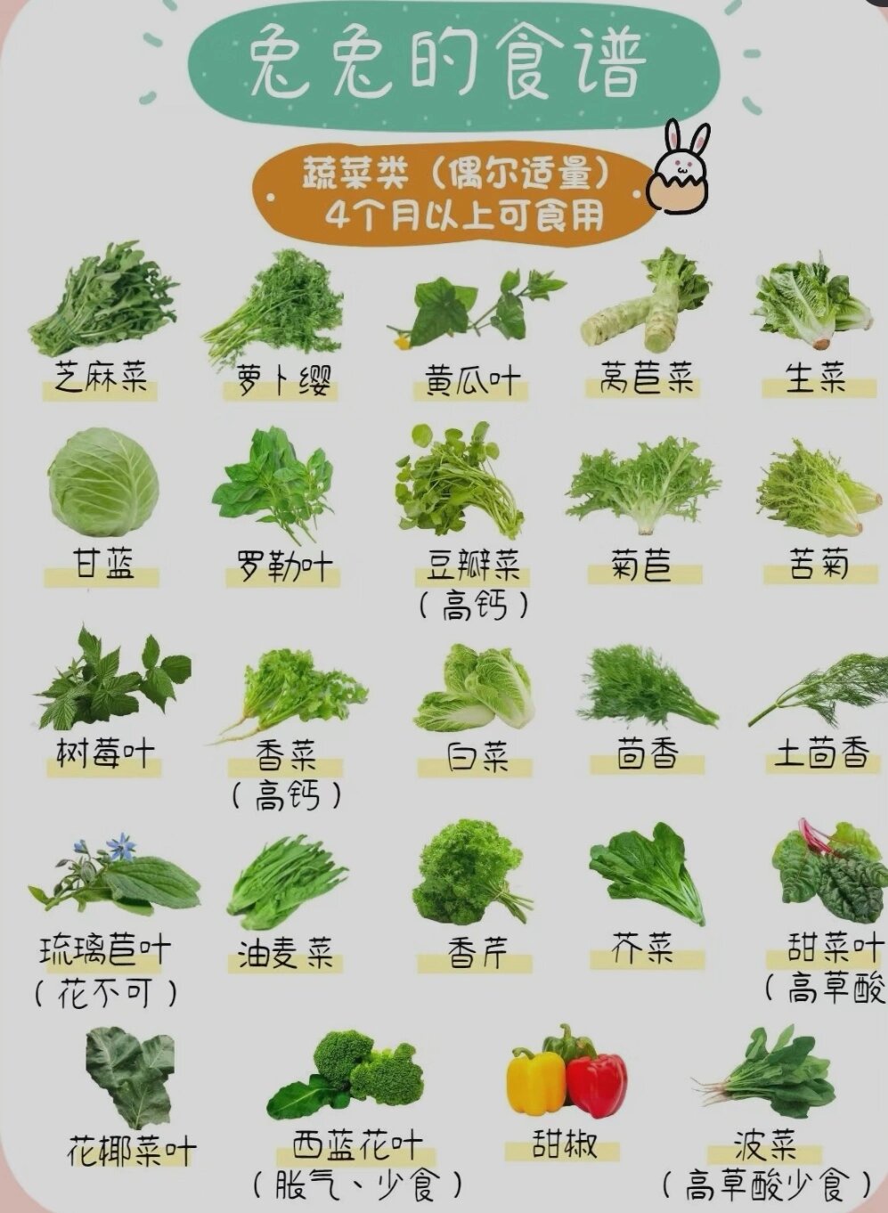 小兔子吃什么,小兔子吃什么好养活