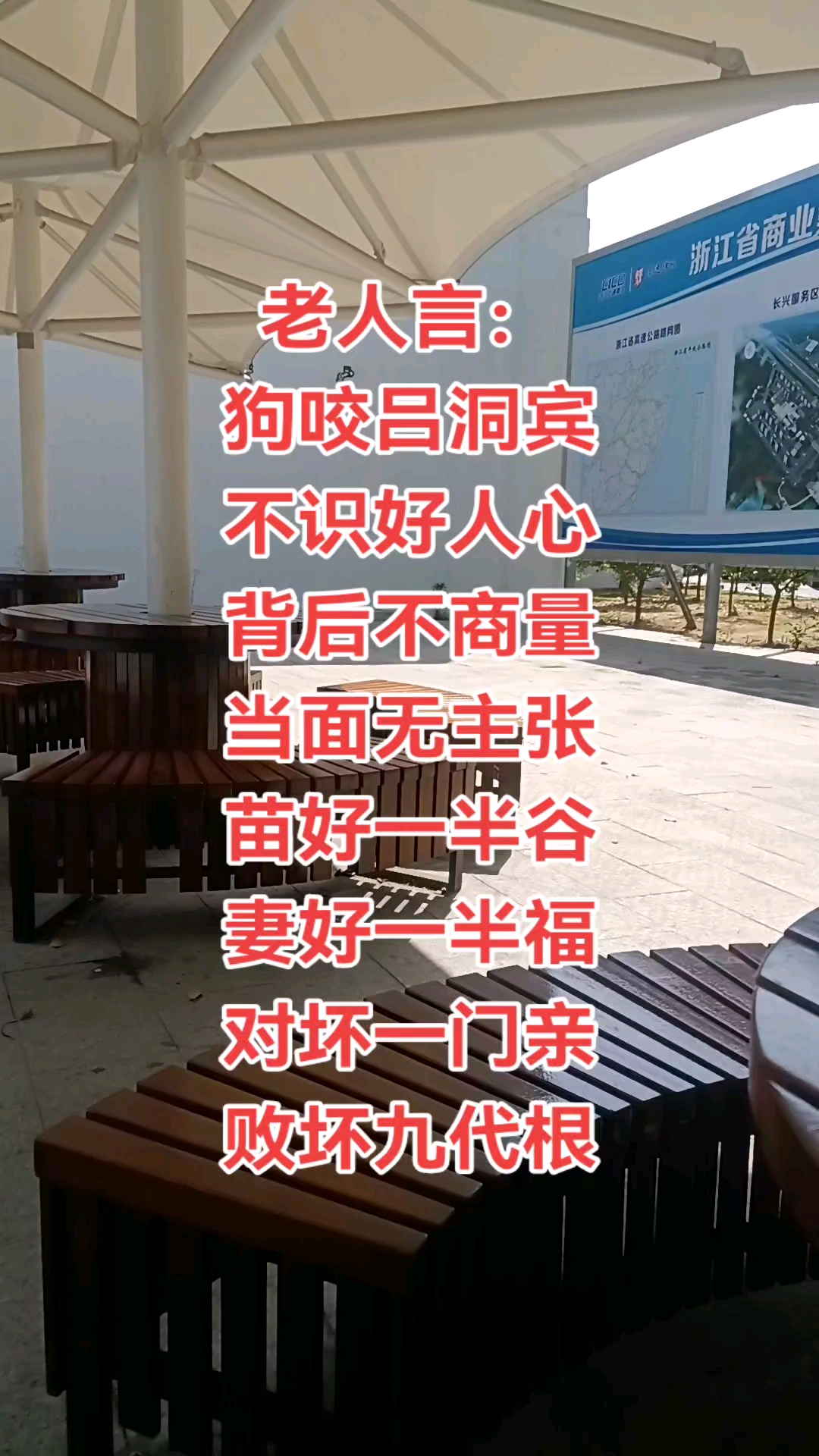 狗咬吕洞宾打一生肖,狗咬吕洞宾打一生肖或数字