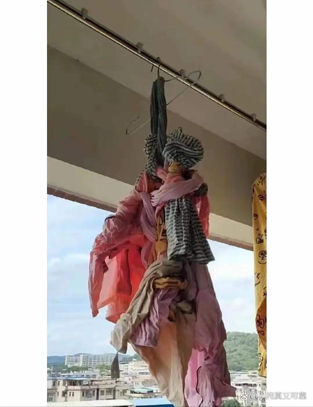 前无古人后无来者,前无古人后无来者打一动物