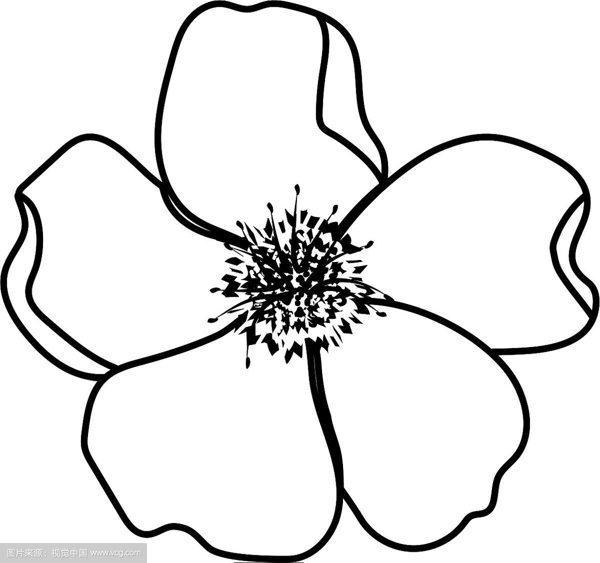 花瓣怎么画,向日葵的花瓣怎么画