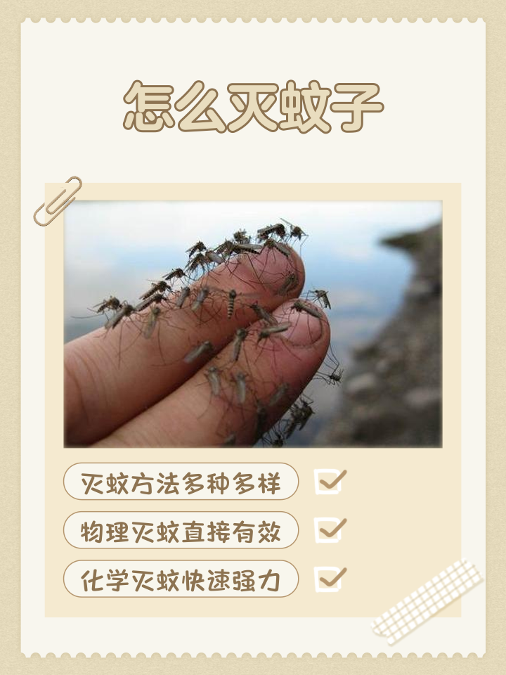 怎么灭蚊子最有效,家中怎么灭蚊子最有效