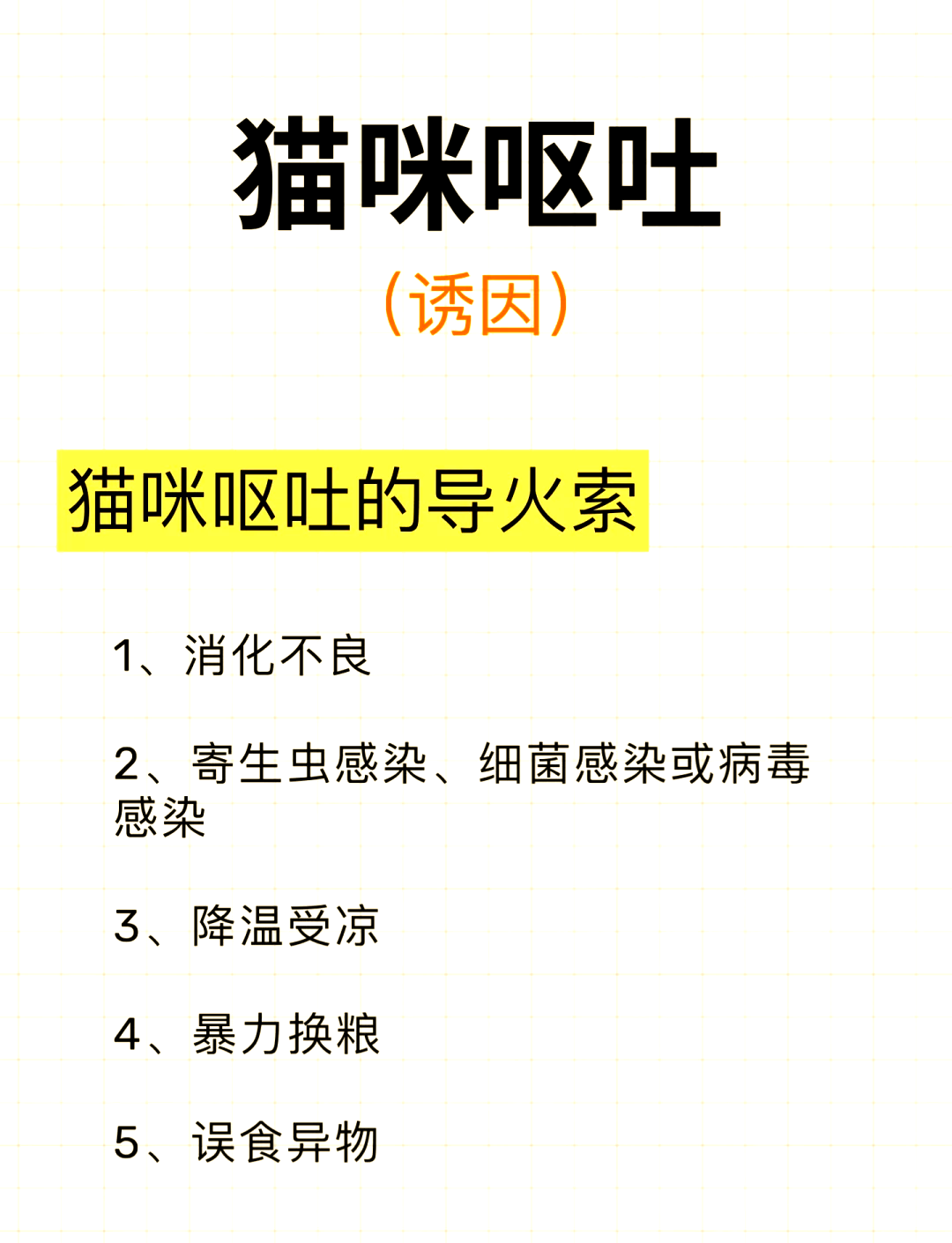 猫咪吐了黄水怎么回事,猫咪吐黄水怎么回事不想吃东西