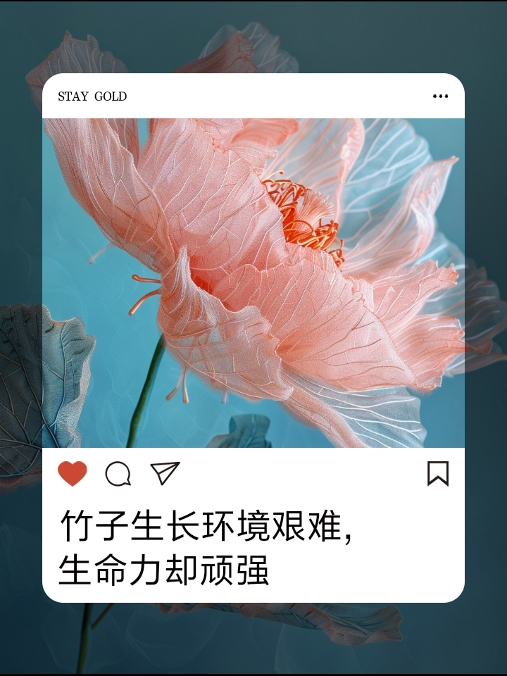 风吹雨打不为惧,风吹雨打不为惧,只是红颜多命苦