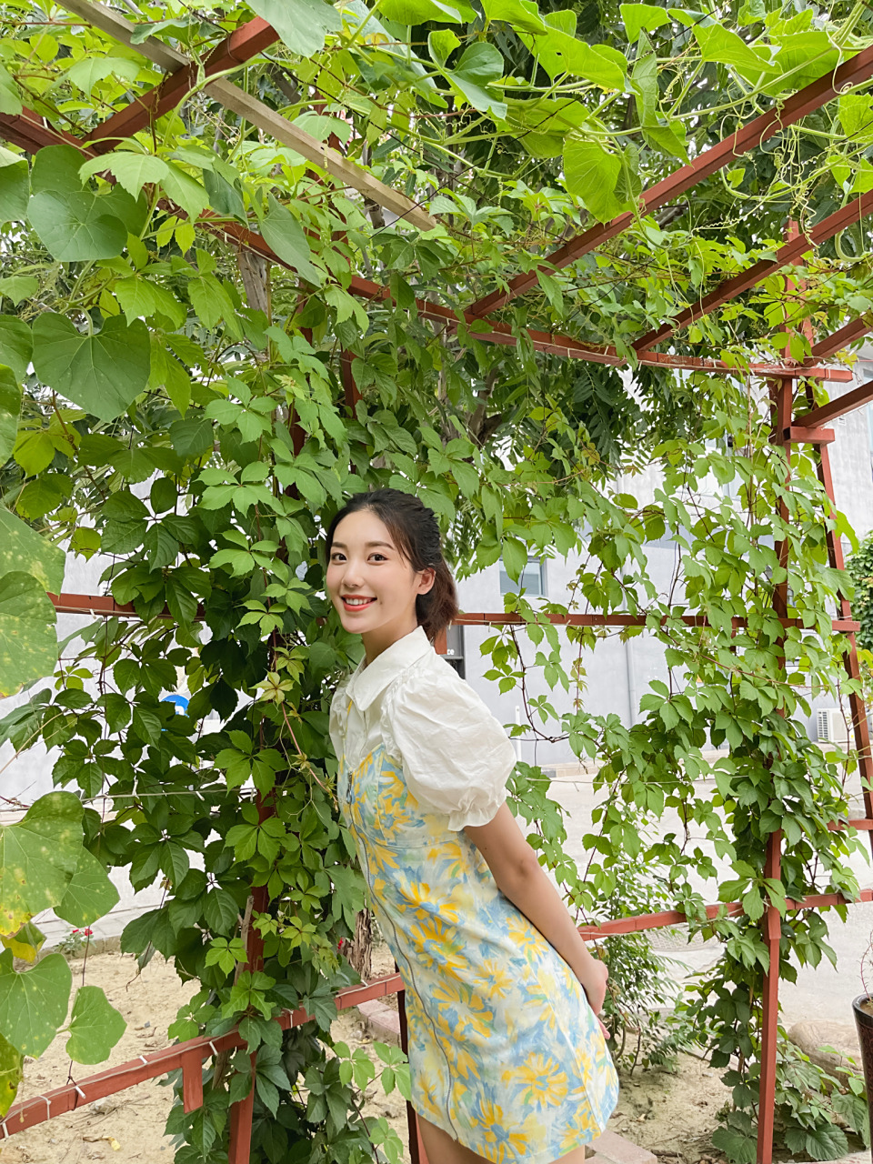 陈婷婷,陈婷婷古筝