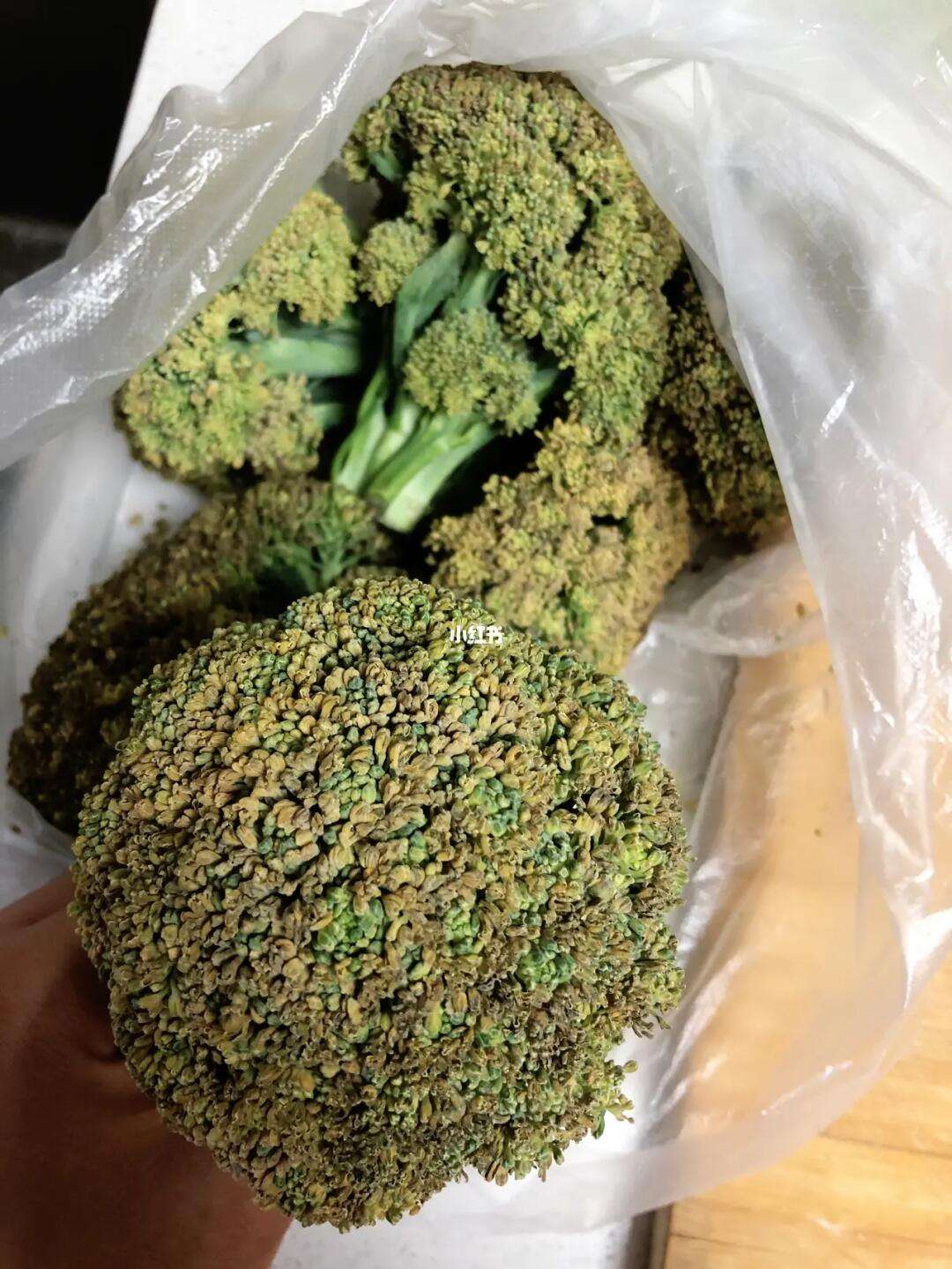 西兰花变黄了还能吃吗,西兰花变黄了还能吃吗详解